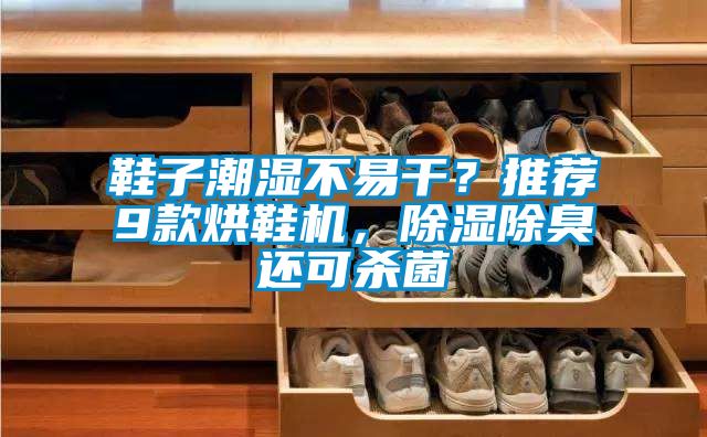鞋子潮濕不易干？推薦9款烘鞋機(jī)，除濕除臭還可殺菌