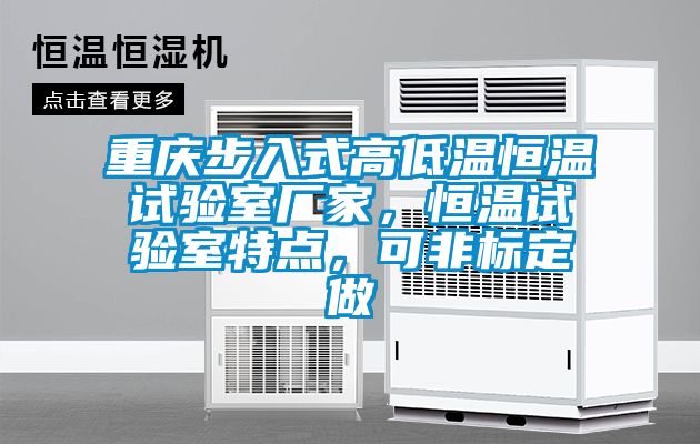 重慶步入式高低溫恒溫試驗室廠家，恒溫試驗室特點，可非標(biāo)定做