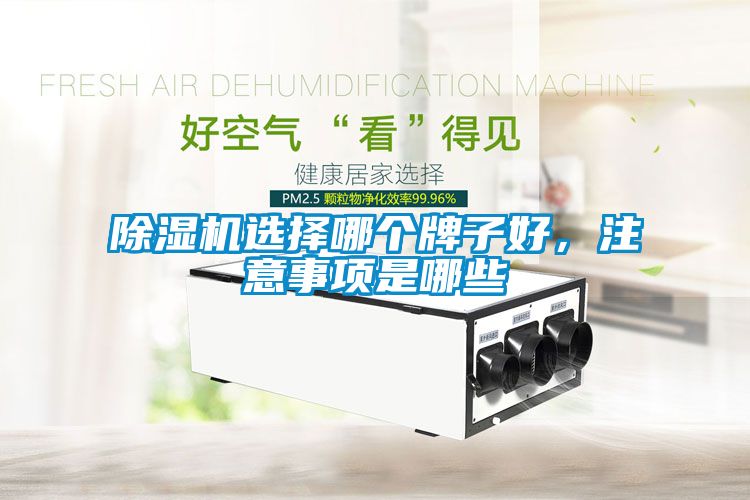 除濕機選擇哪個牌子好，注意事項是哪些