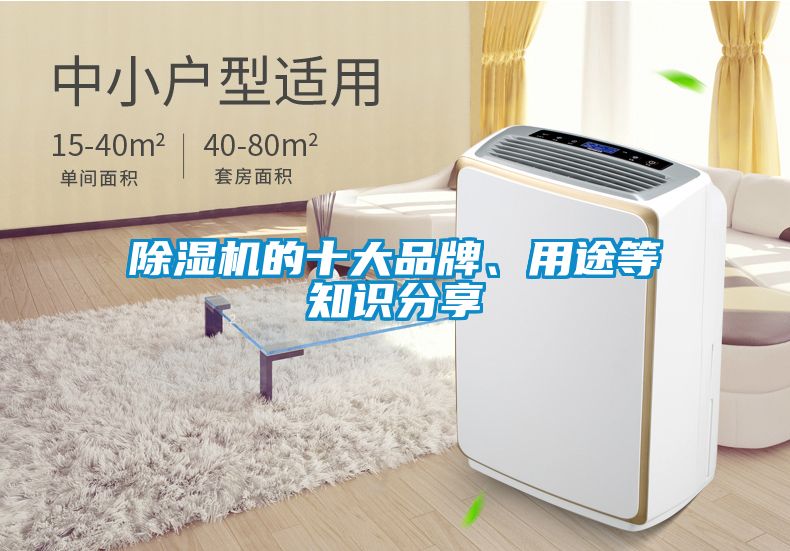 除濕機(jī)的十大品牌、用途等知識(shí)分享