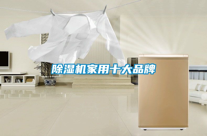 除濕機(jī)家用十大品牌