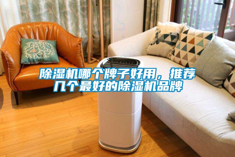 除濕機(jī)哪個(gè)牌子好用，推薦幾個(gè)最好的除濕機(jī)品牌