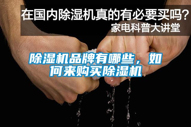 除濕機(jī)品牌有哪些，如何來購買除濕機(jī)