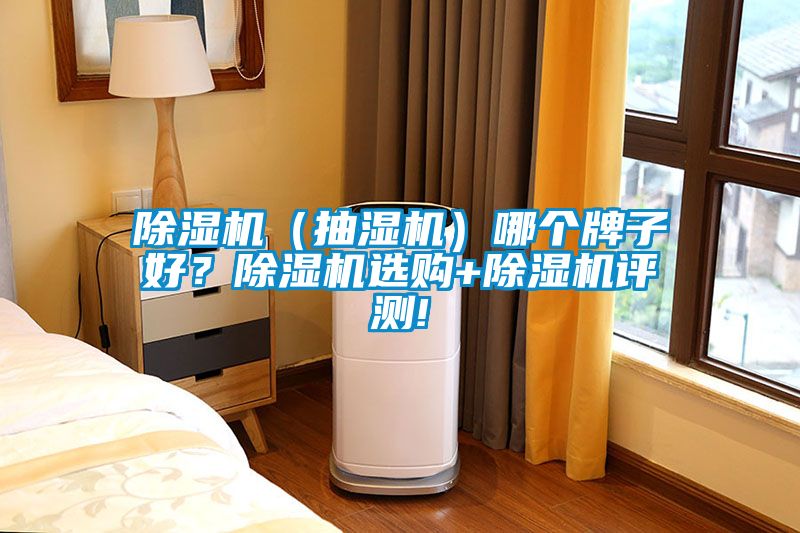 除濕機(jī)（抽濕機(jī)）哪個(gè)牌子好？除濕機(jī)選購(gòu)+除濕機(jī)評(píng)測(cè)!