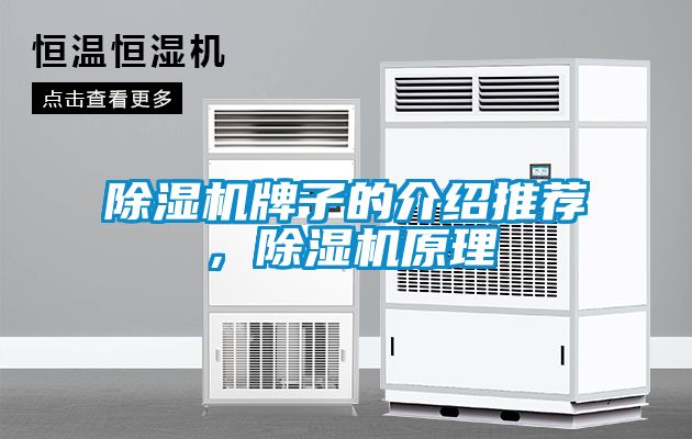 除濕機(jī)牌子的介紹推薦，除濕機(jī)原理
