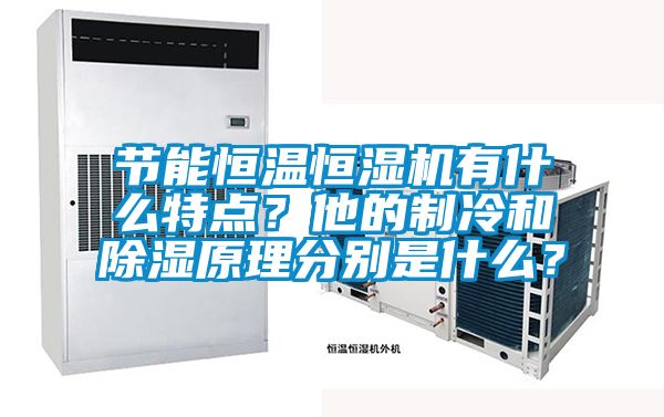 節(jié)能恒溫恒濕機有什么特點？他的制冷和除濕原理分別是什么？