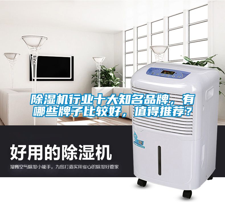 除濕機(jī)行業(yè)十大知名品牌，有哪些牌子比較好，值得推薦？