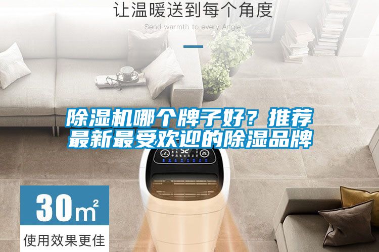除濕機(jī)哪個(gè)牌子好？推薦最新最受歡迎的除濕品牌