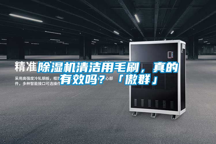 除濕機清潔用毛刷，真的有效嗎？「傲群」
