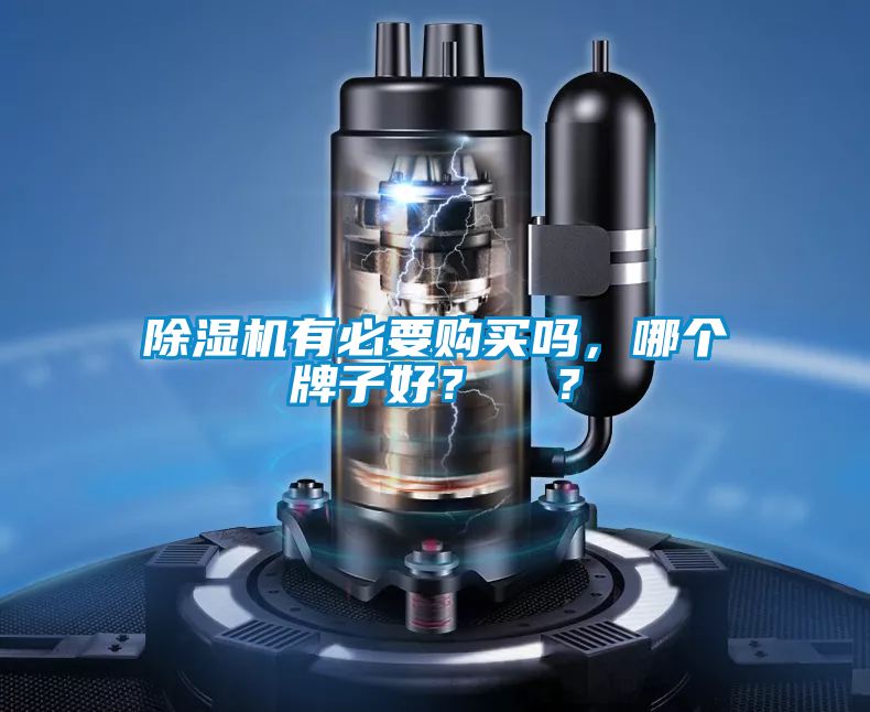 除濕機有必要購買嗎，哪個牌子好？  ？