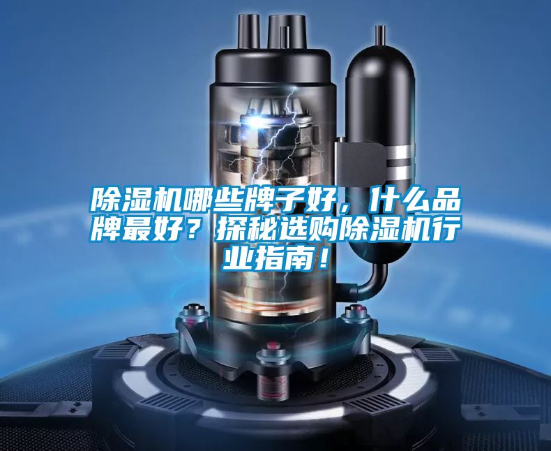 除濕機(jī)哪些牌子好，什么品牌最好？探秘選購(gòu)除濕機(jī)行業(yè)指南！