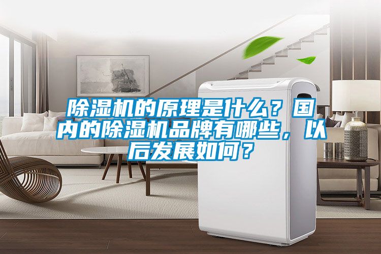 除濕機(jī)的原理是什么？國(guó)內(nèi)的除濕機(jī)品牌有哪些，以后發(fā)展如何？
