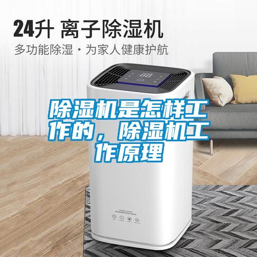 除濕機(jī)是怎樣工作的，除濕機(jī)工作原理