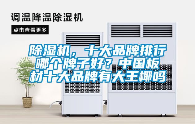 除濕機(jī)，十大品牌排行哪個(gè)牌子好？中國板材十大品牌有大王椰嗎