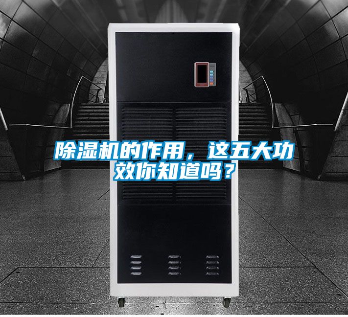 除濕機的作用，這五大功效你知道嗎？
