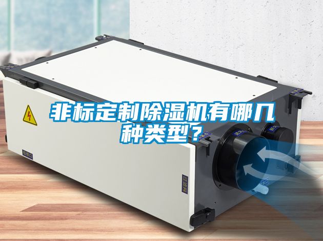 非標(biāo)定制除濕機(jī)有哪幾種類型？