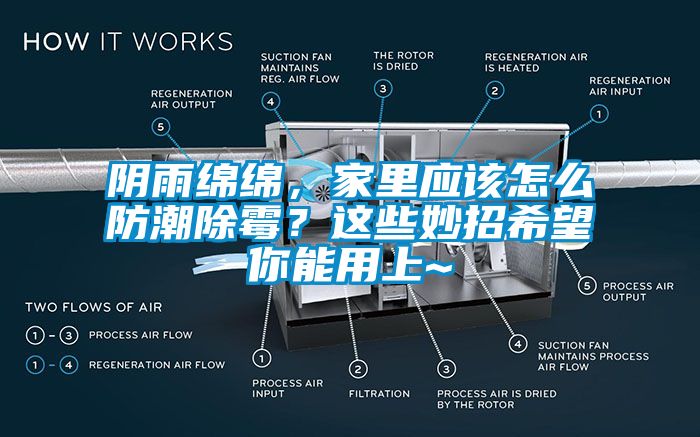 陰雨綿綿，家里應(yīng)該怎么防潮除霉？這些妙招希望你能用上~