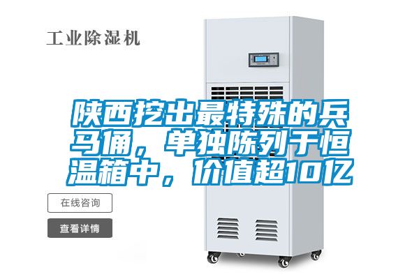 陜西挖出最特殊的兵馬俑，單獨(dú)陳列于恒溫箱中，價(jià)值超10億