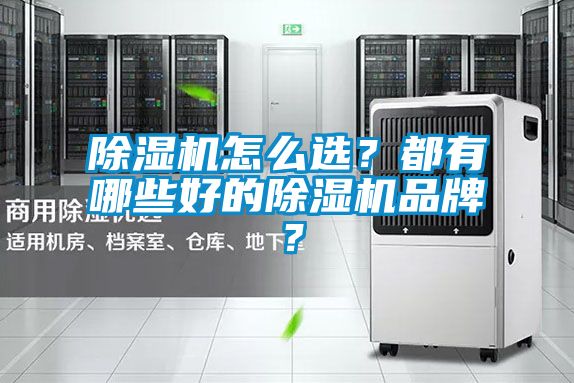 除濕機(jī)怎么選？都有哪些好的除濕機(jī)品牌？