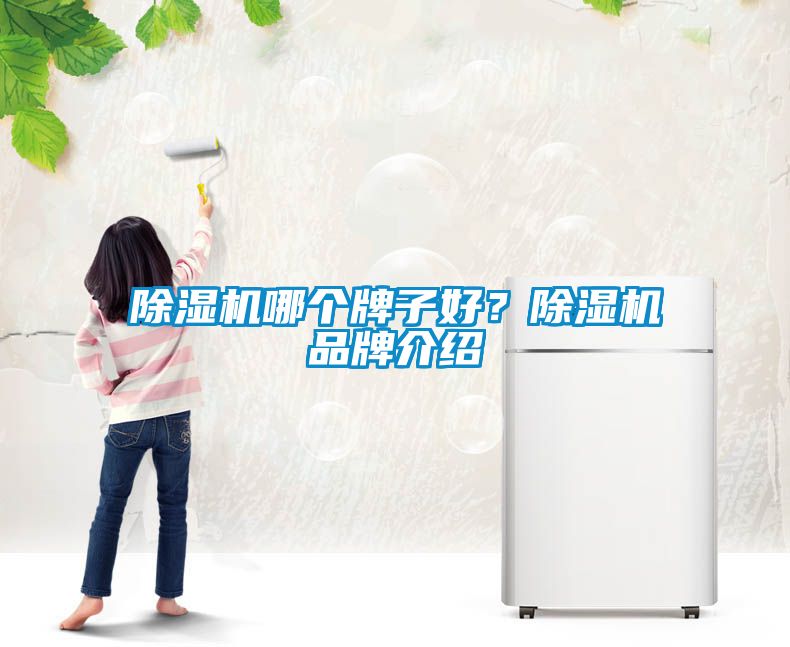 除濕機(jī)哪個牌子好？除濕機(jī)品牌介紹