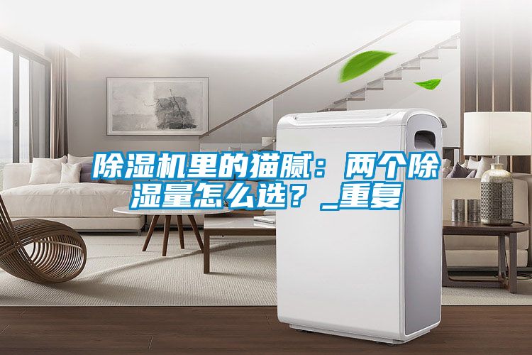 除濕機(jī)里的貓膩：兩個除濕量怎么選？_重復(fù)