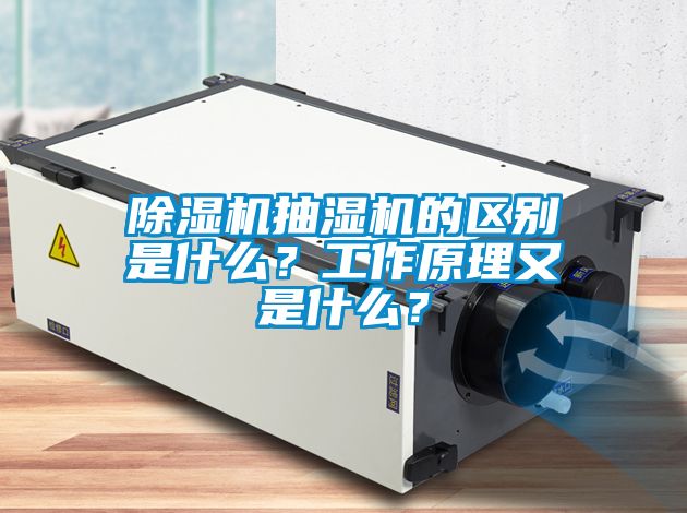 除濕機(jī)抽濕機(jī)的區(qū)別是什么？工作原理又是什么？