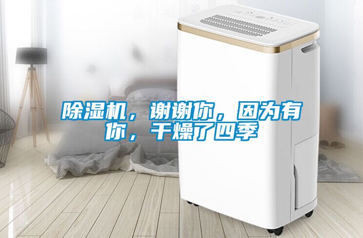 除濕機(jī)，謝謝你，因?yàn)橛心?，干燥了四?></div>
								<div   id=