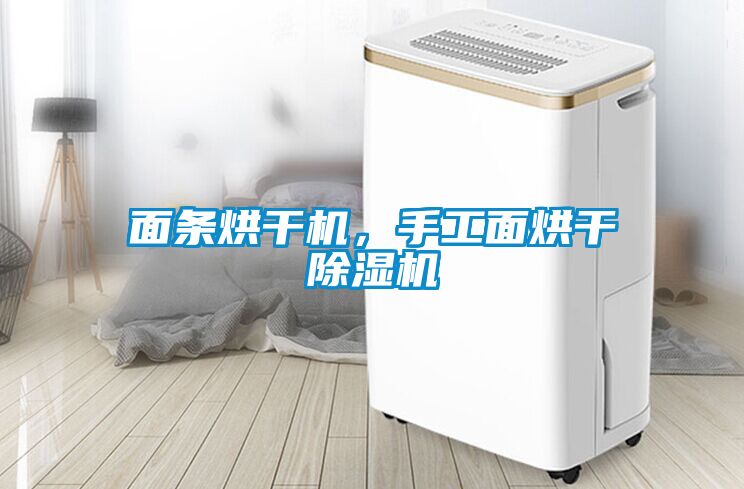 面條烘干機(jī)，手工面烘干除濕機(jī)