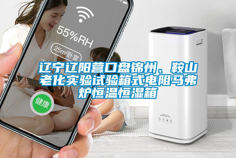 遼寧遼陽營口盤錦州、鞍山老化實(shí)驗(yàn)試驗(yàn)箱式電阻馬弗爐恒溫恒濕箱