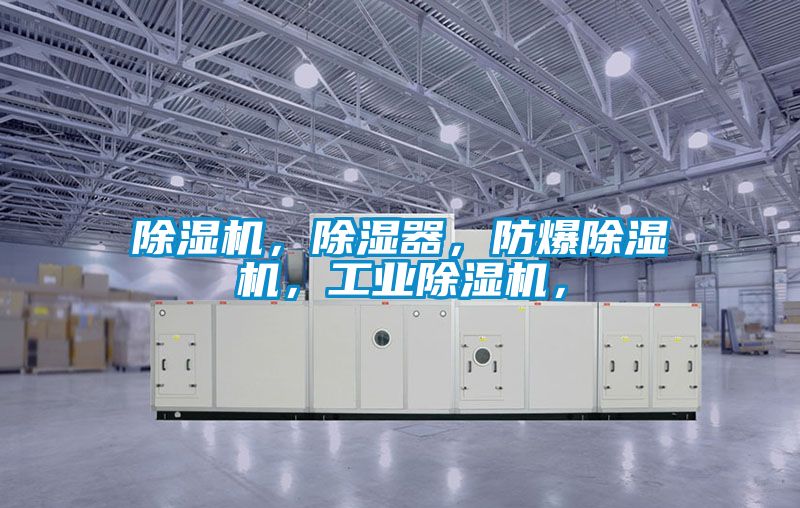 除濕機(jī)，除濕器，防爆除濕機(jī)，工業(yè)除濕機(jī)，