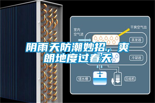 陰雨天防潮妙招，爽朗地度過春天