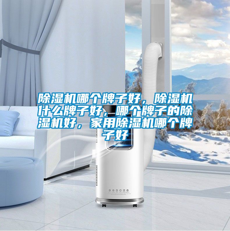 除濕機哪個牌子好，除濕機什么牌子好，哪個牌子的除濕機好，家用除濕機哪個牌子好