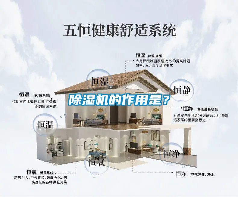 除濕機的作用是？