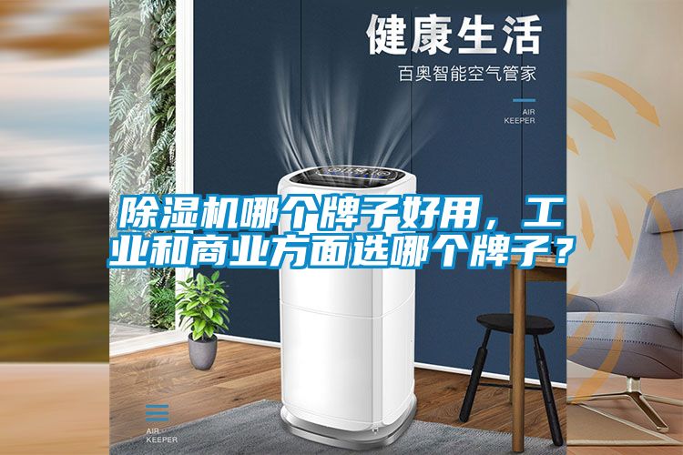 除濕機哪個牌子好用，工業(yè)和商業(yè)方面選哪個牌子？