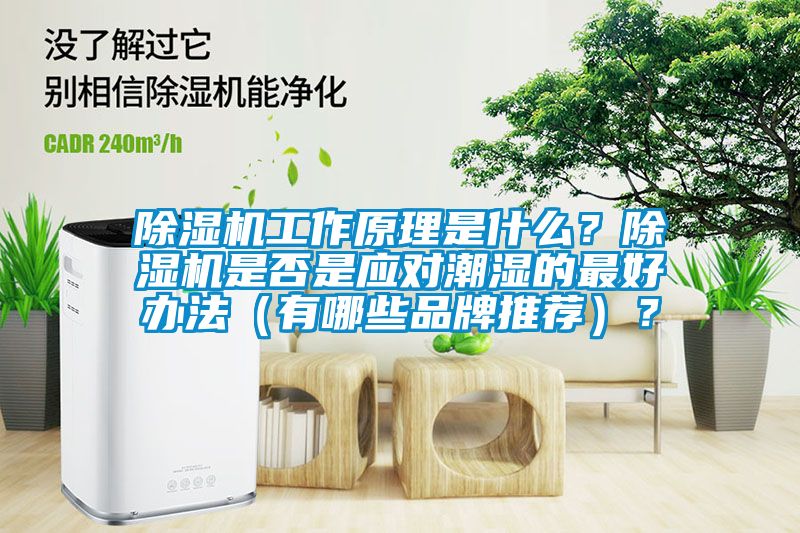 除濕機(jī)工作原理是什么？除濕機(jī)是否是應(yīng)對潮濕的最好辦法（有哪些品牌推薦）？