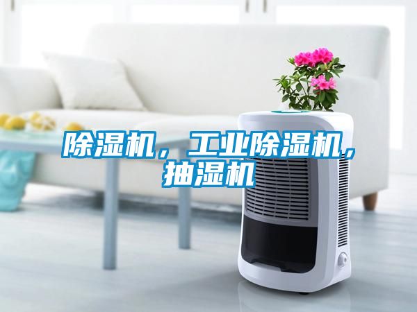 除濕機(jī)，工業(yè)除濕機(jī)，抽濕機(jī)