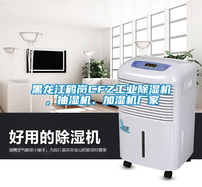 黑龍江鶴崗CFZ工業(yè)除濕機(jī)，抽濕機(jī)、加濕機(jī)廠家