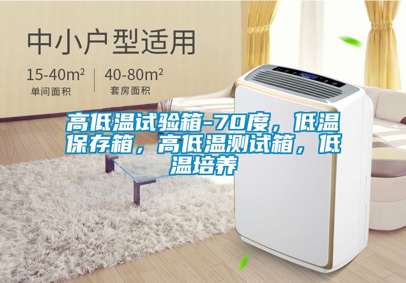 高低溫試驗(yàn)箱-70度，低溫保存箱，高低溫測試箱，低溫培養(yǎng)