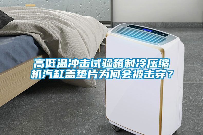 高低溫沖擊試驗(yàn)箱制冷壓縮機(jī)汽缸蓋墊片為何會被擊穿？