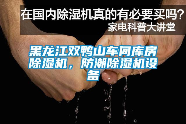 黑龍江雙鴨山車(chē)間庫(kù)房除濕機(jī)，防潮除濕機(jī)設(shè)備