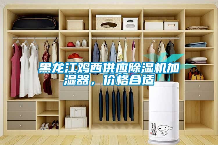黑龍江雞西供應(yīng)除濕機(jī)加濕器，價(jià)格合適