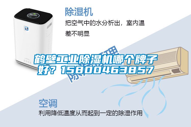 鶴壁工業(yè)除濕機哪個牌子好？15800463857