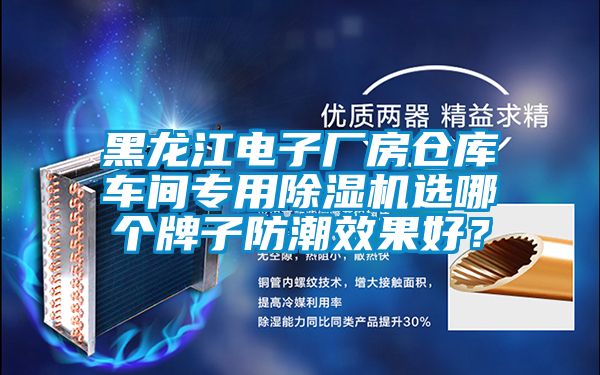 黑龍江電子廠房倉(cāng)庫(kù)車(chē)間專(zhuān)用除濕機(jī)選哪個(gè)牌子防潮效果好？