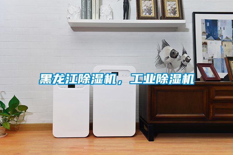 黑龍江除濕機(jī)，工業(yè)除濕機(jī)