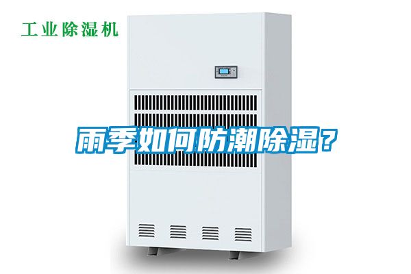 雨季如何防潮除濕？