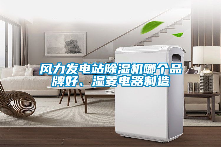 風力發(fā)電站除濕機哪個品牌好、濕菱電器制造
