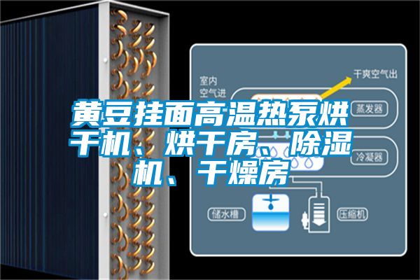 黃豆掛面高溫?zé)岜煤娓蓹C(jī)、烘干房、除濕機(jī)、干燥房