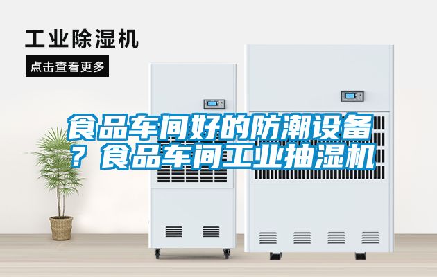 食品車間好的防潮設(shè)備？食品車間工業(yè)抽濕機