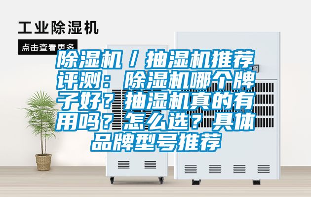 除濕機(jī)／抽濕機(jī)推薦評(píng)測(cè)：除濕機(jī)哪個(gè)牌子好？抽濕機(jī)真的有用嗎？怎么選？具體品牌型號(hào)推薦