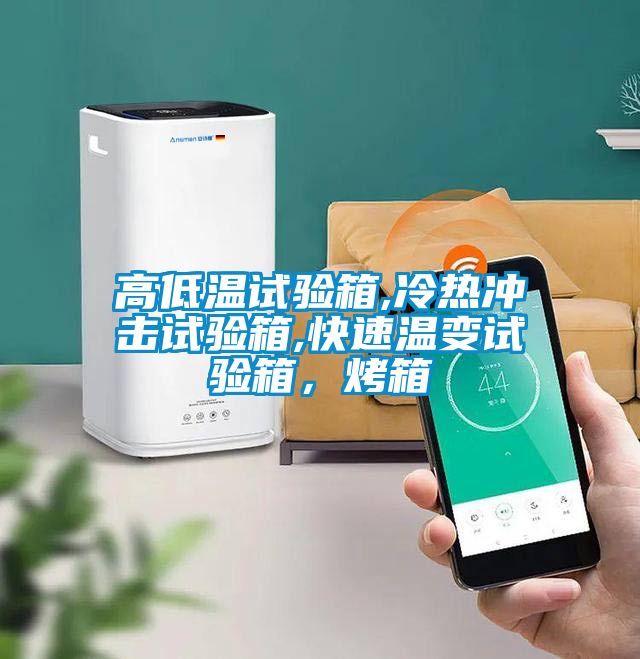 高低溫試驗(yàn)箱,冷熱沖擊試驗(yàn)箱,快速溫變試驗(yàn)箱，烤箱